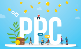 PPC audit