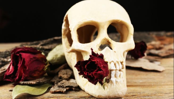 Hamletovská lebka s růží