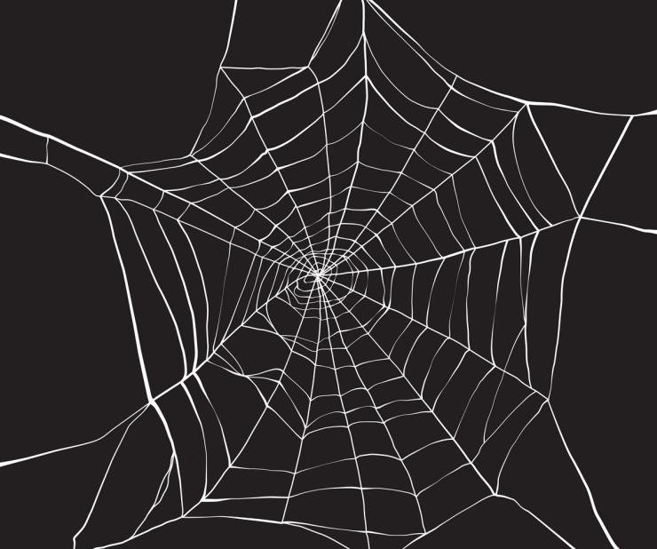Struktura webu