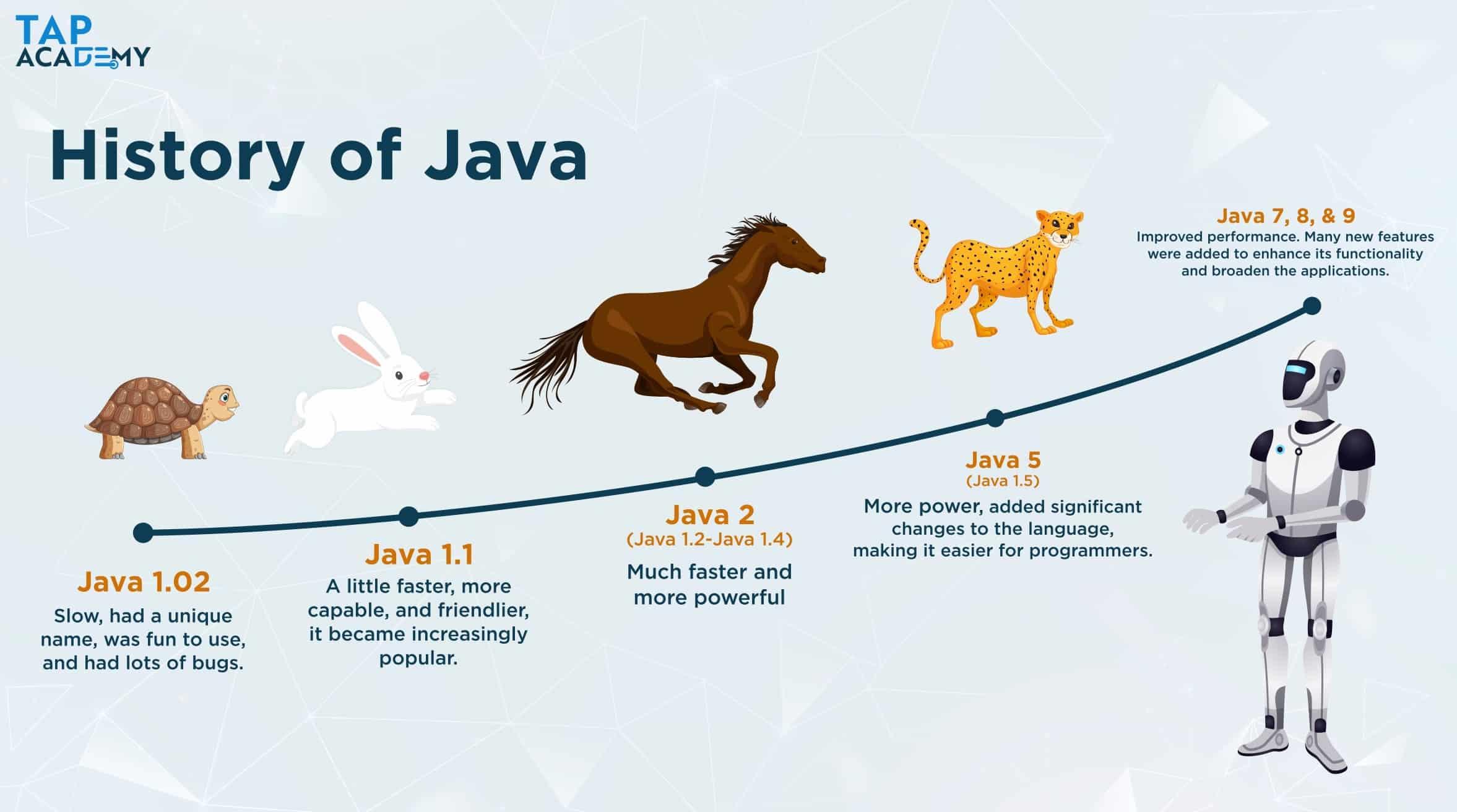 Historie programovacího jazyka Java
