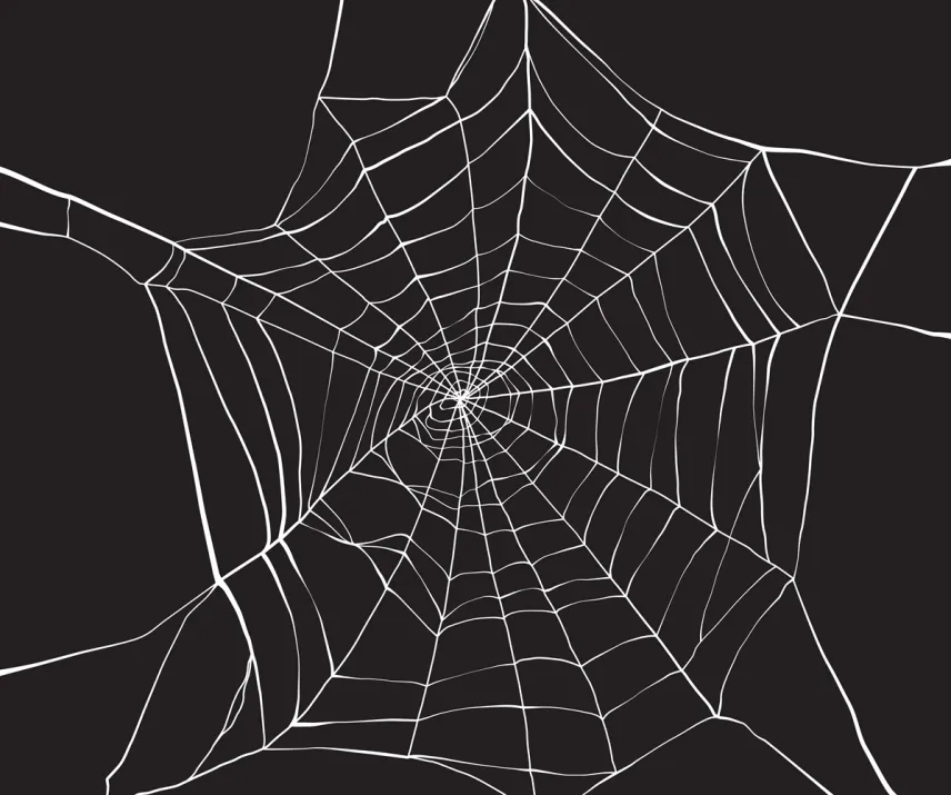 Struktura webu